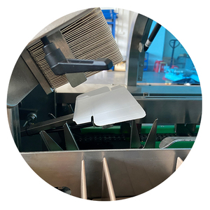 Automatic Counting Facial Mask Packing Machine
